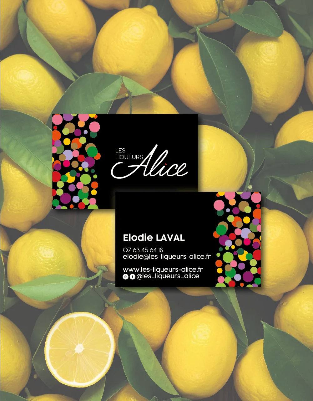 Les Liqueurs Alice / visuel 4