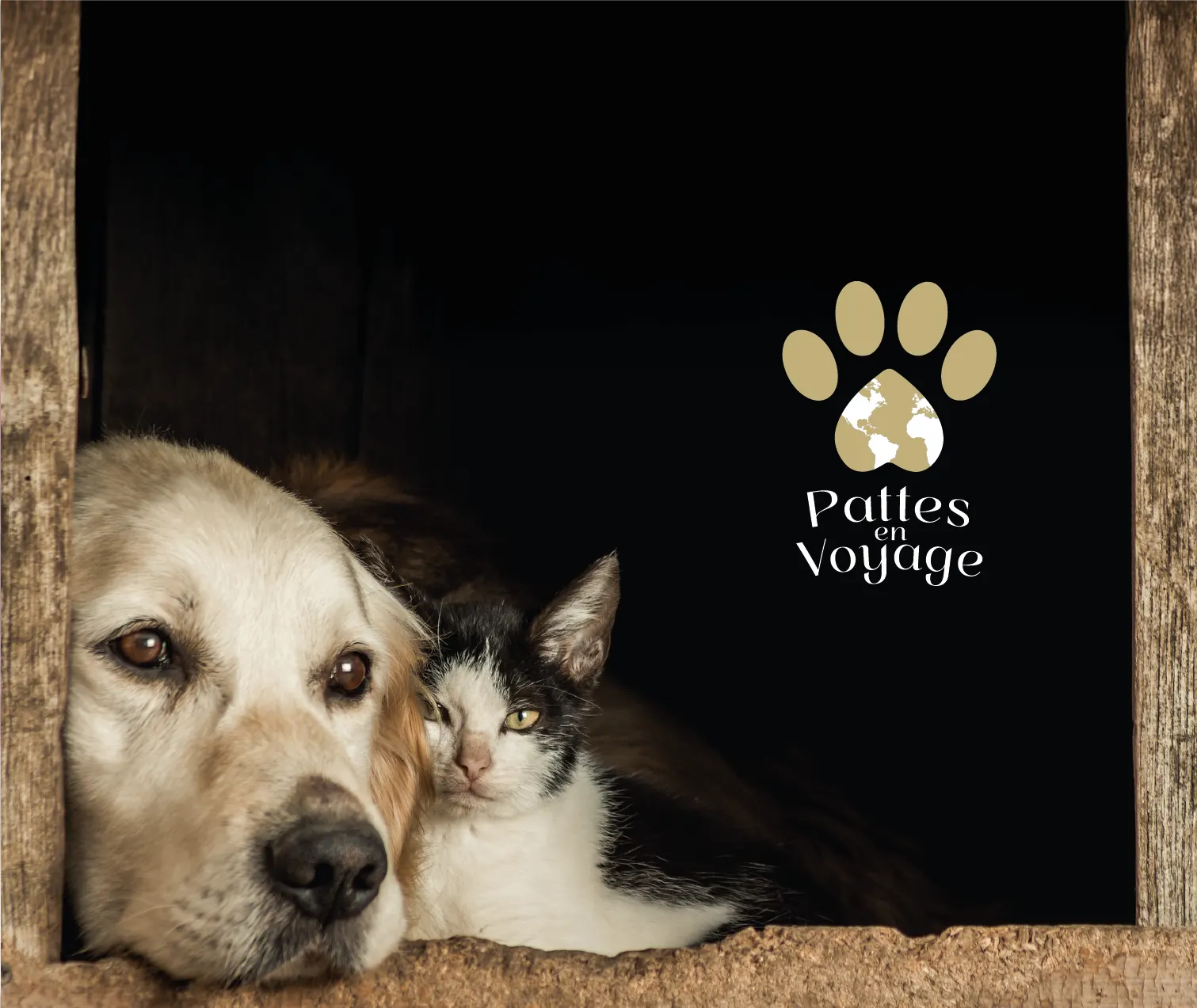 PATTES EN VOYAGE