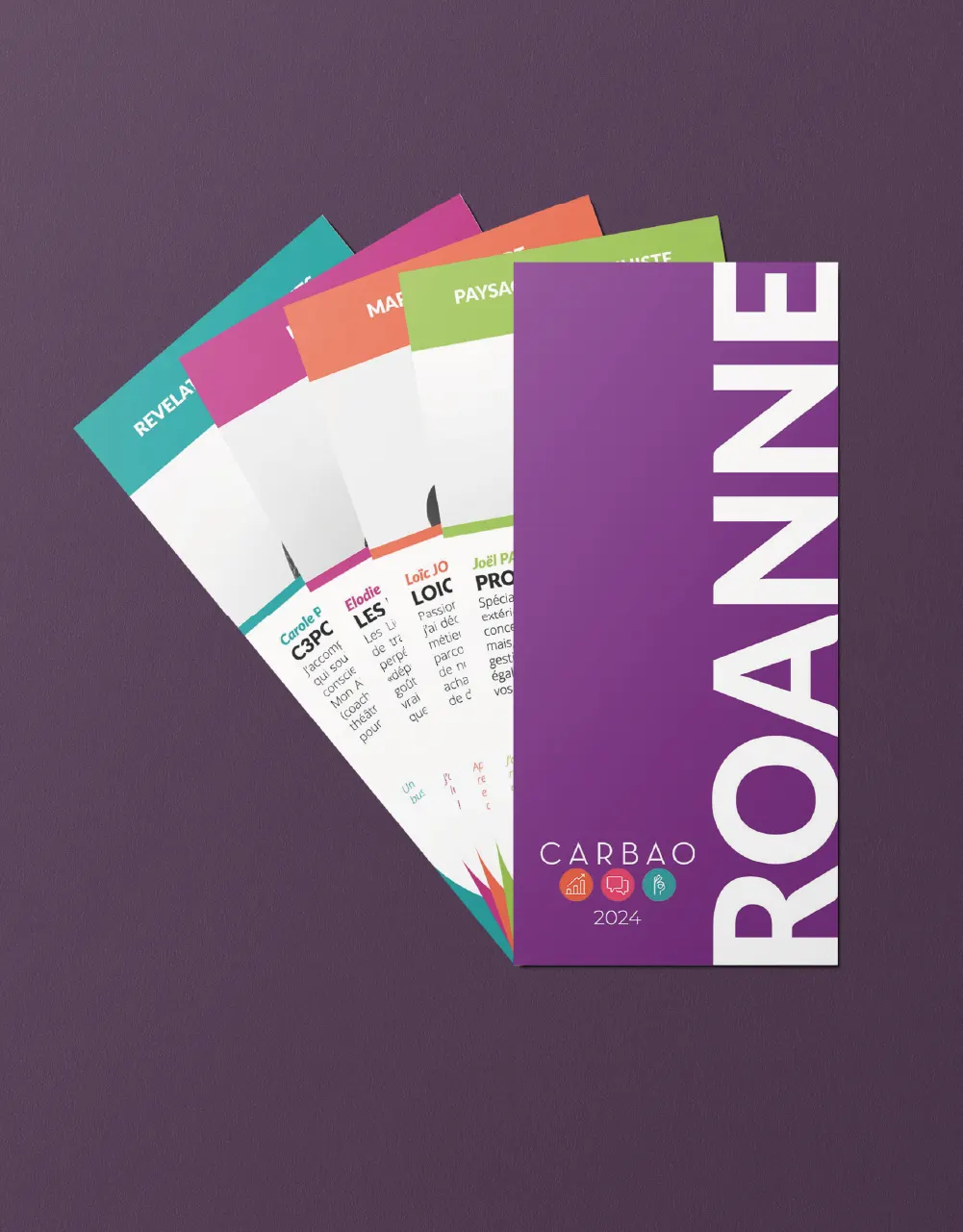 CARBAO ROANNE / visuel 1