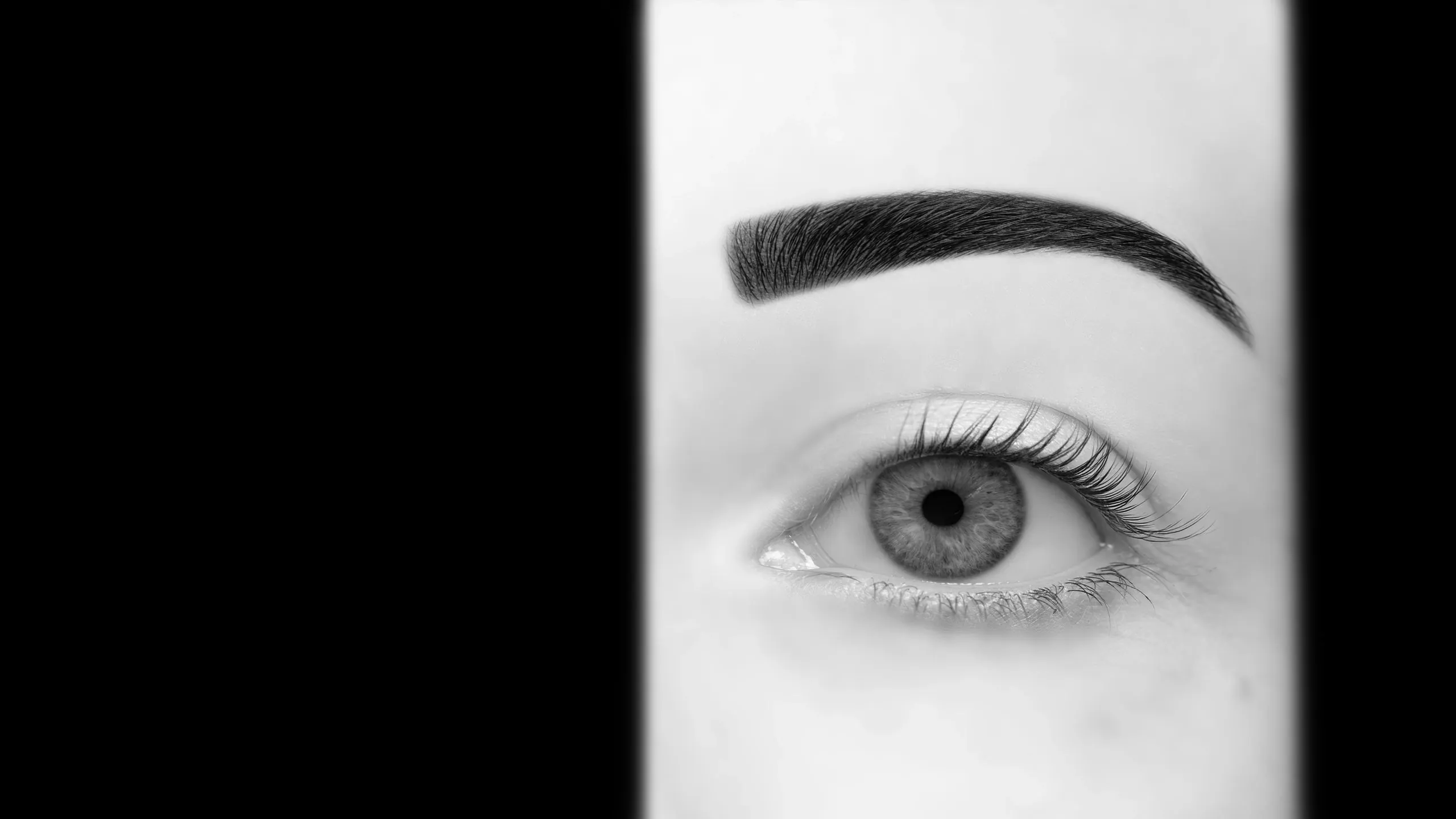 Le regard d'Eva Braga, designer de marque à Roanne