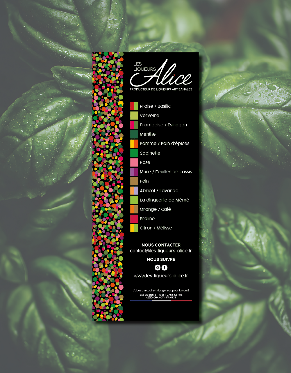 Création identite visuelle Roanne pour les liqueurs Alice. Graphiste roanne Agence de communication à Roanne.