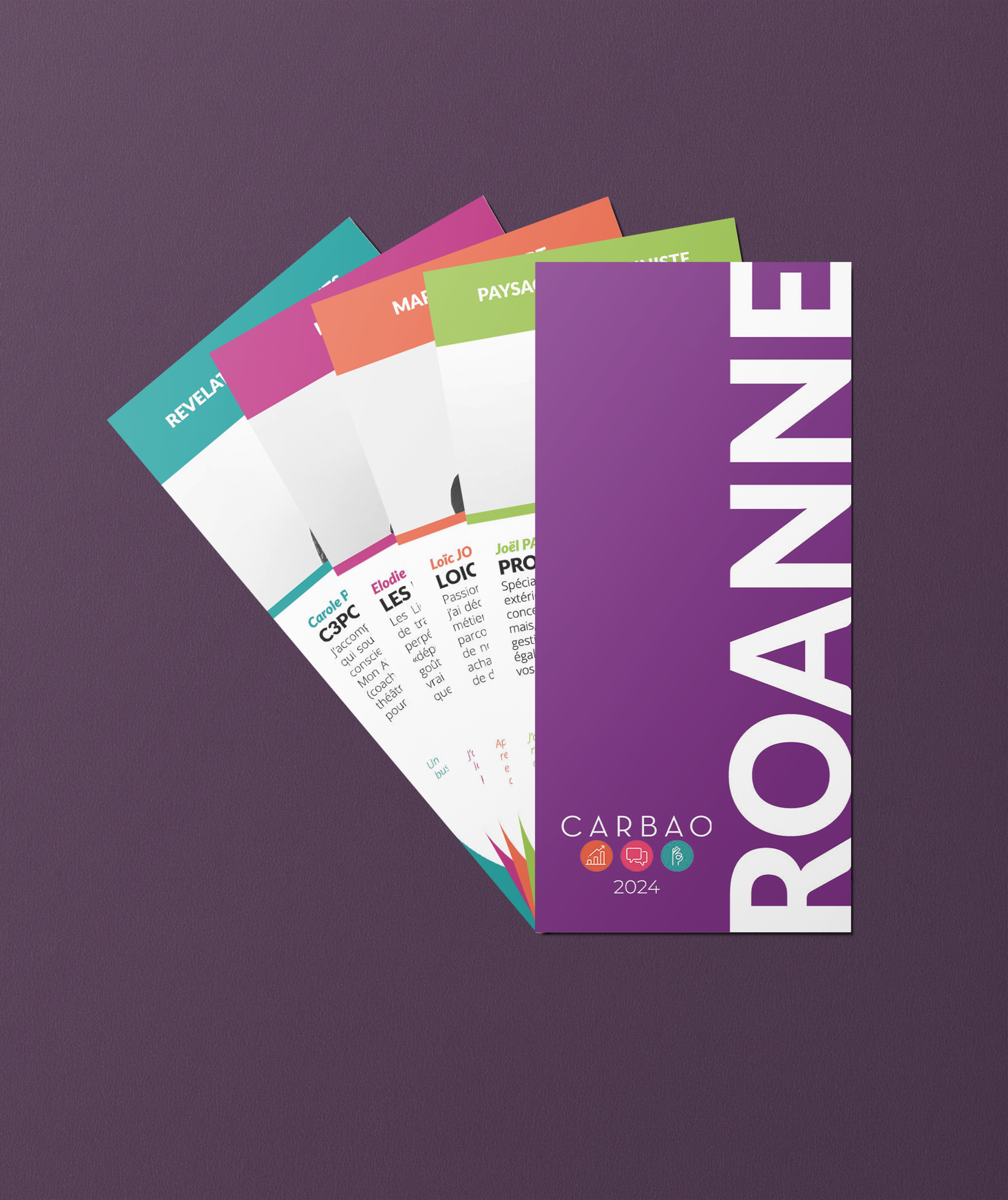 support de communication graphiste roanne carbao roanne