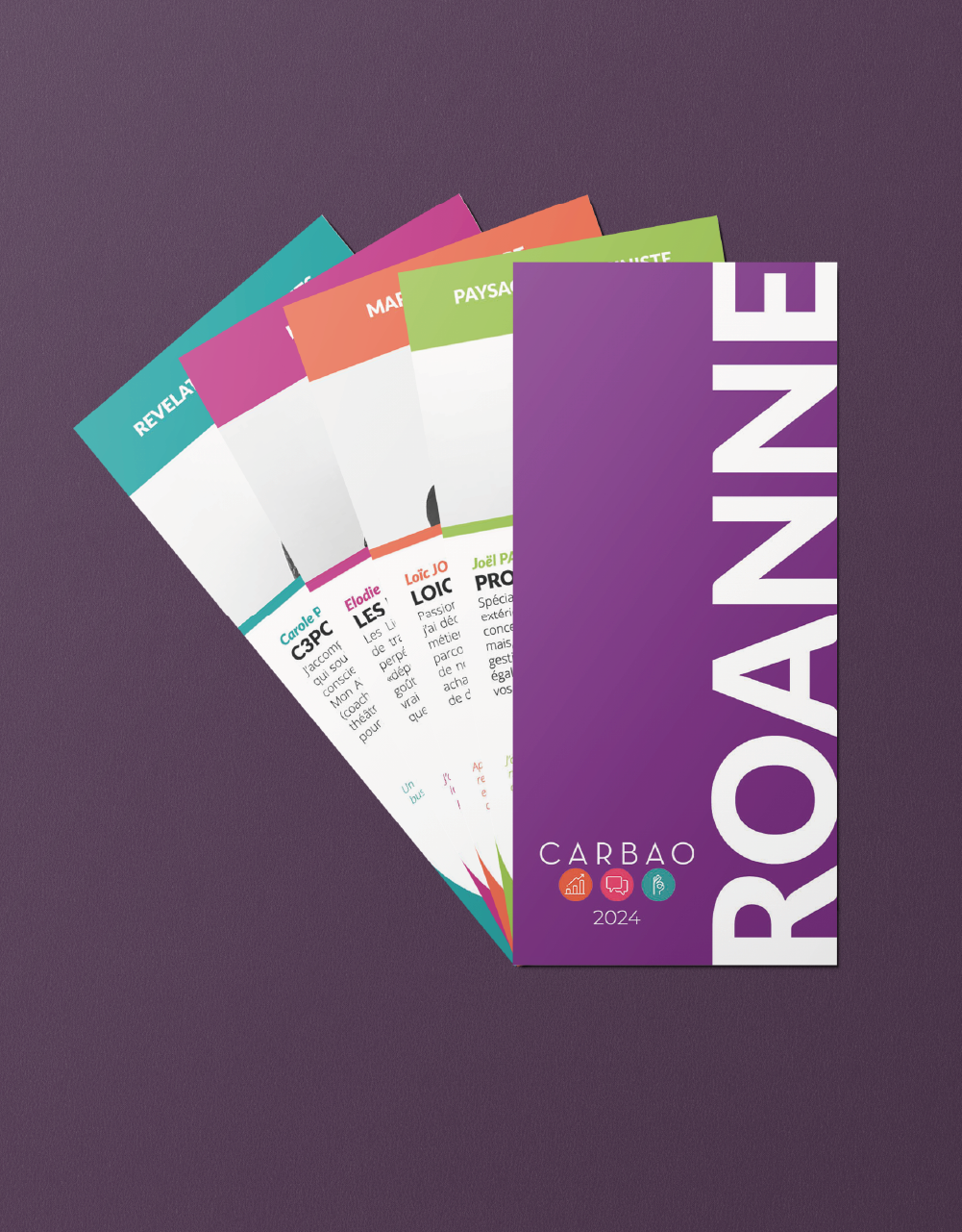 plaquette à Roanne pour carbao roanne. Agence de communication roanne.